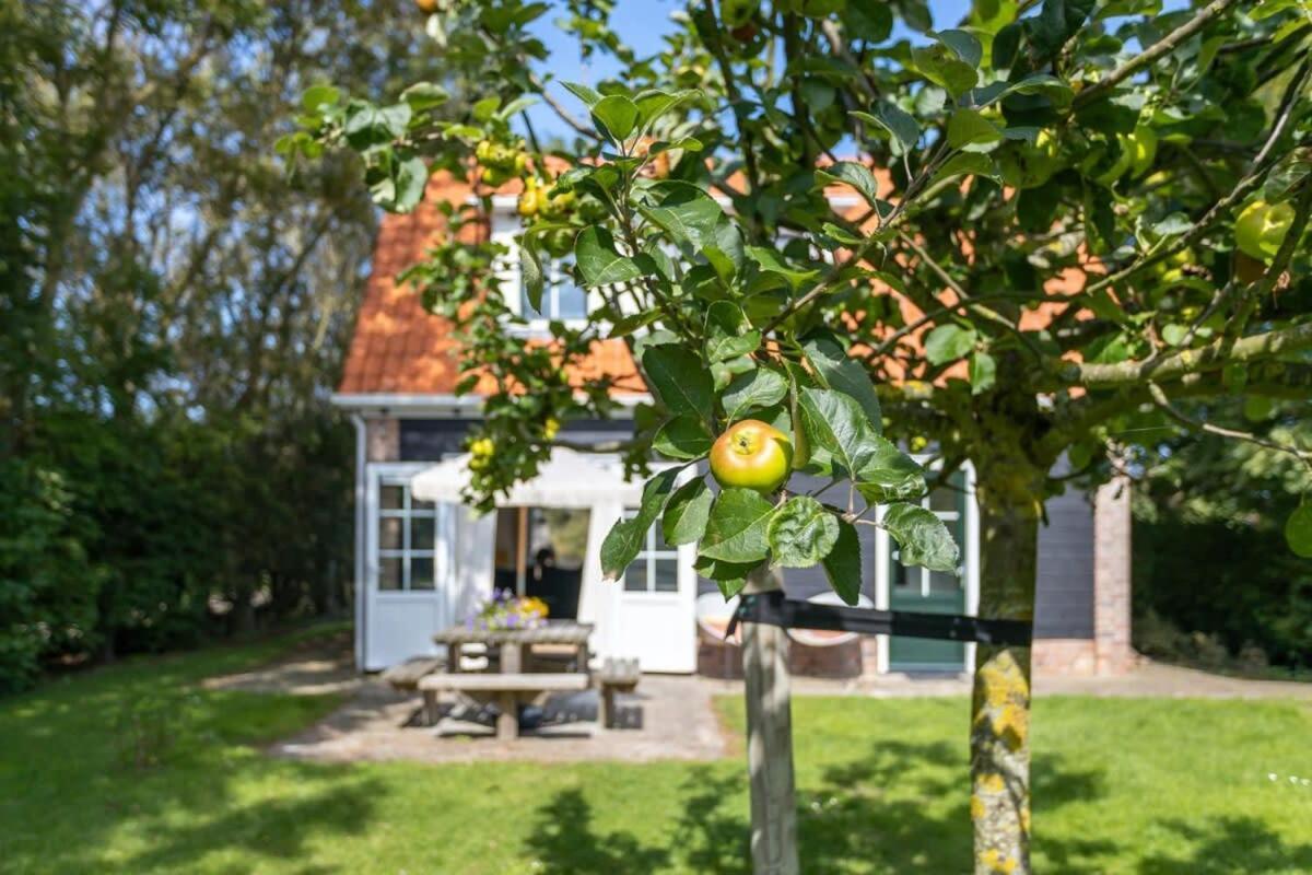 Het Kleine Huis At Buitenplaats Zeeuwse Liefde Westkapelle Exteriör bild